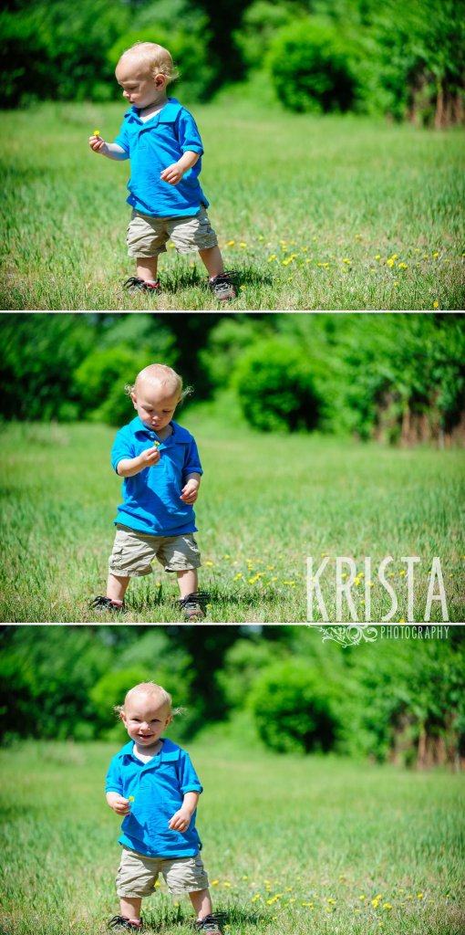 toddler boy in blue collared shirt walking in field surrounded by green trees during mini portrait sessions in springtime in New England