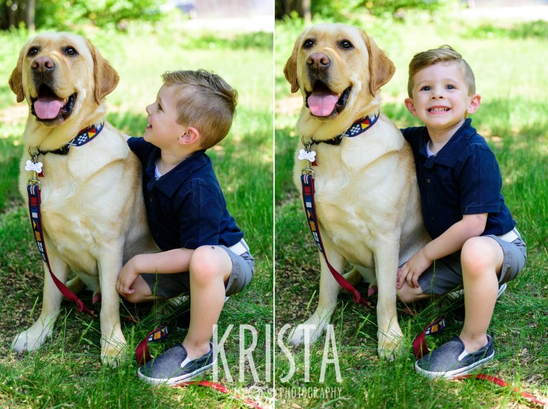 little boy in navy blue collared shirt running through green grass with his golden retriever on a leash during springtime mini portrait sessions in New England