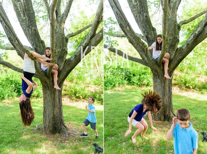 kids climbing in tree and goofing around during spring mini portrait session