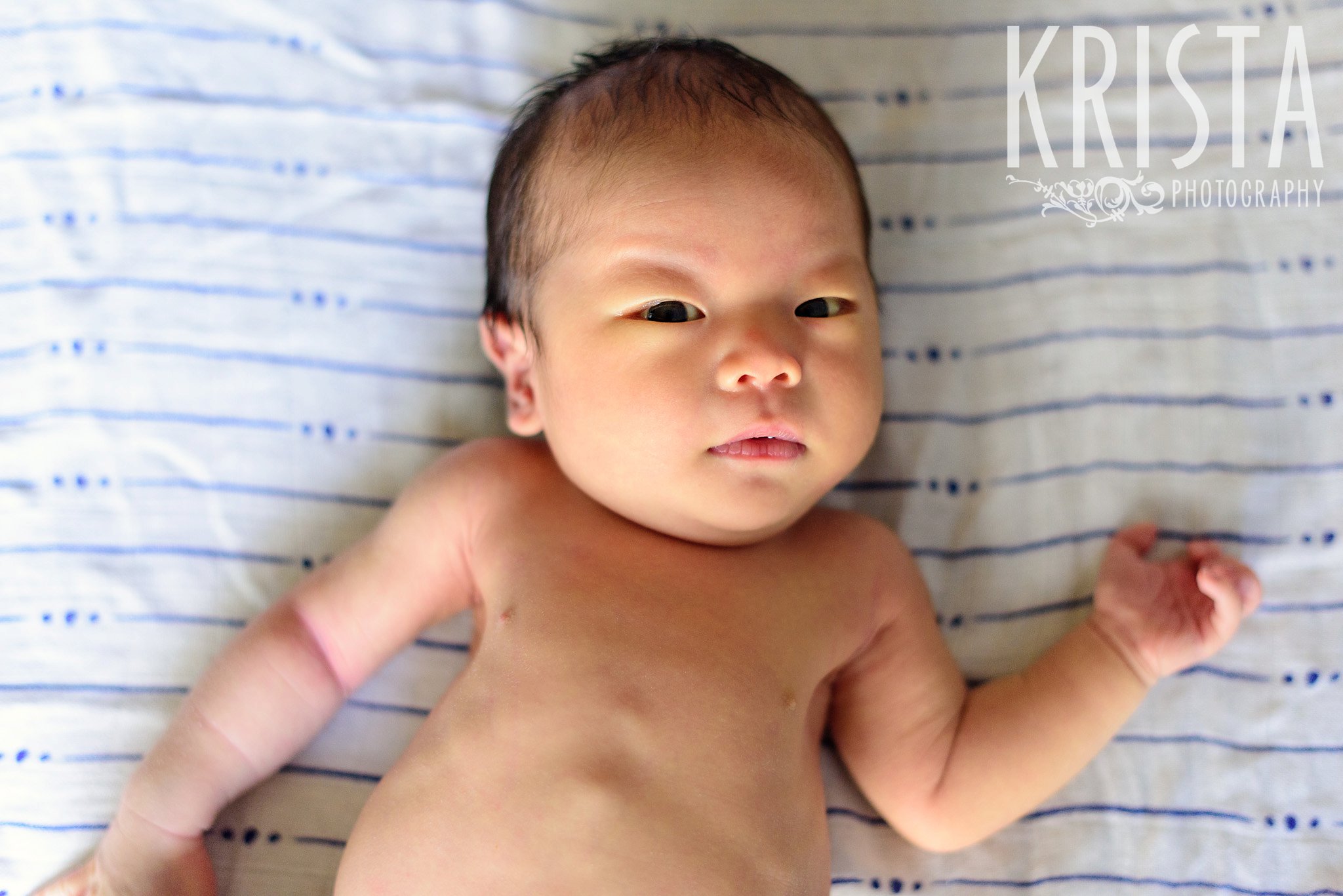 newborn baby boy laying on blanket during family portrait session