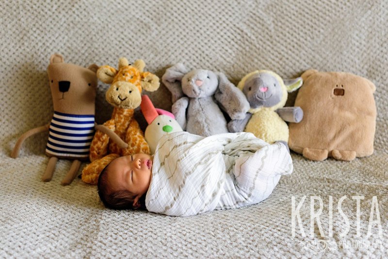 swaddled newborn baby boy in front of several stuffed animals during lifestyle portrait session in the family home