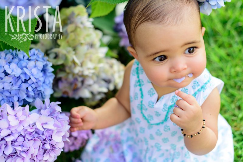  gorgeous brown eyed baby girl in turquoise patterned dress eating hydrangeas during lifestyle portrait session on Cape Cod