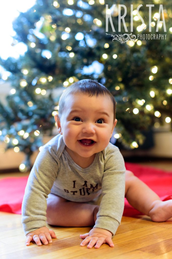 Six month old Asian baby boy in front of Christmas tree lit with white lights