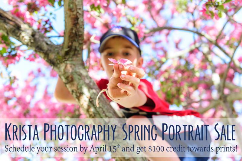 Krista Photography Spring Portrait Sale - Boston family photographer